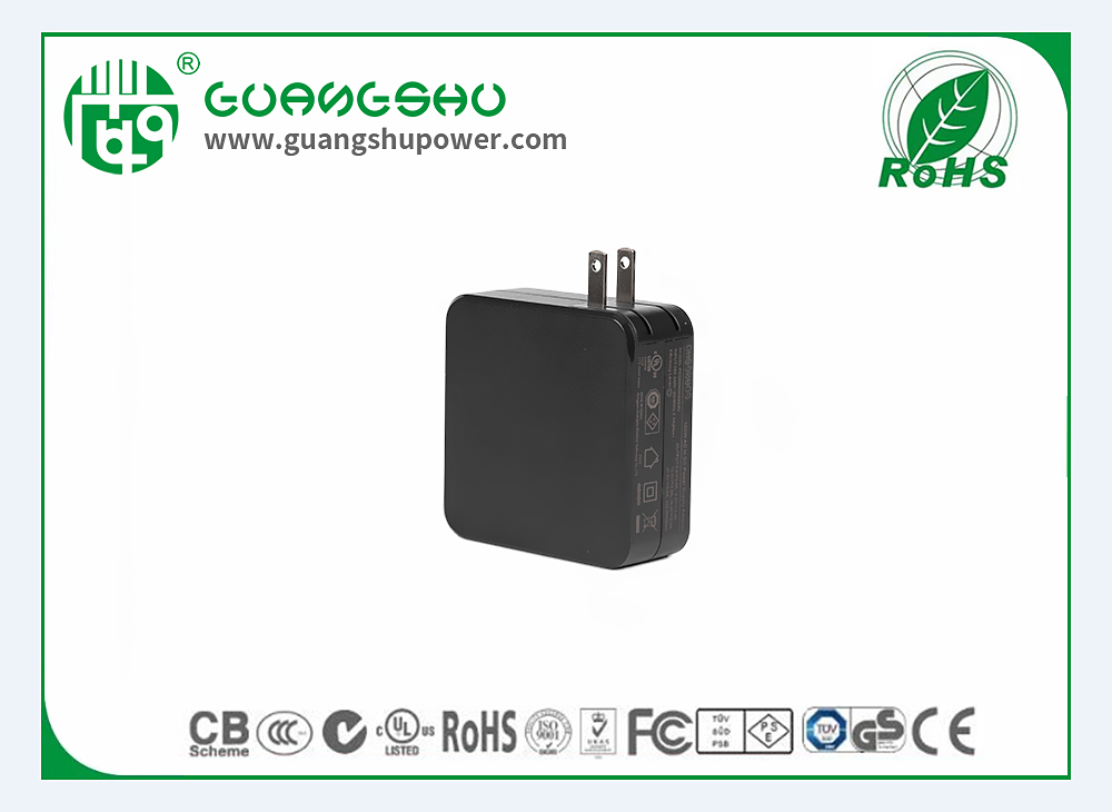 PD100W-US-(3)